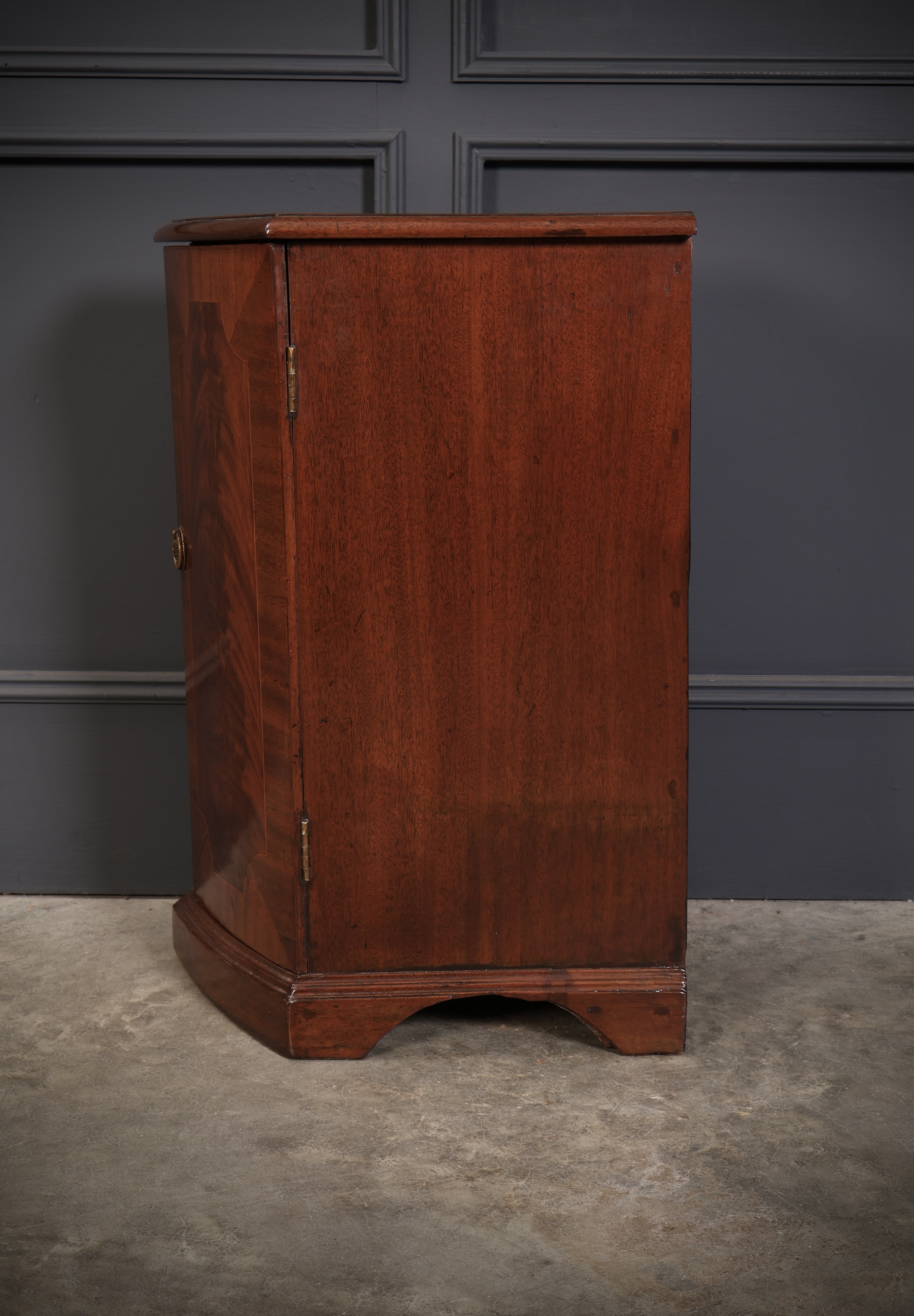Pair Of Regency Mahogany Pedestal Cabinets - Image 8